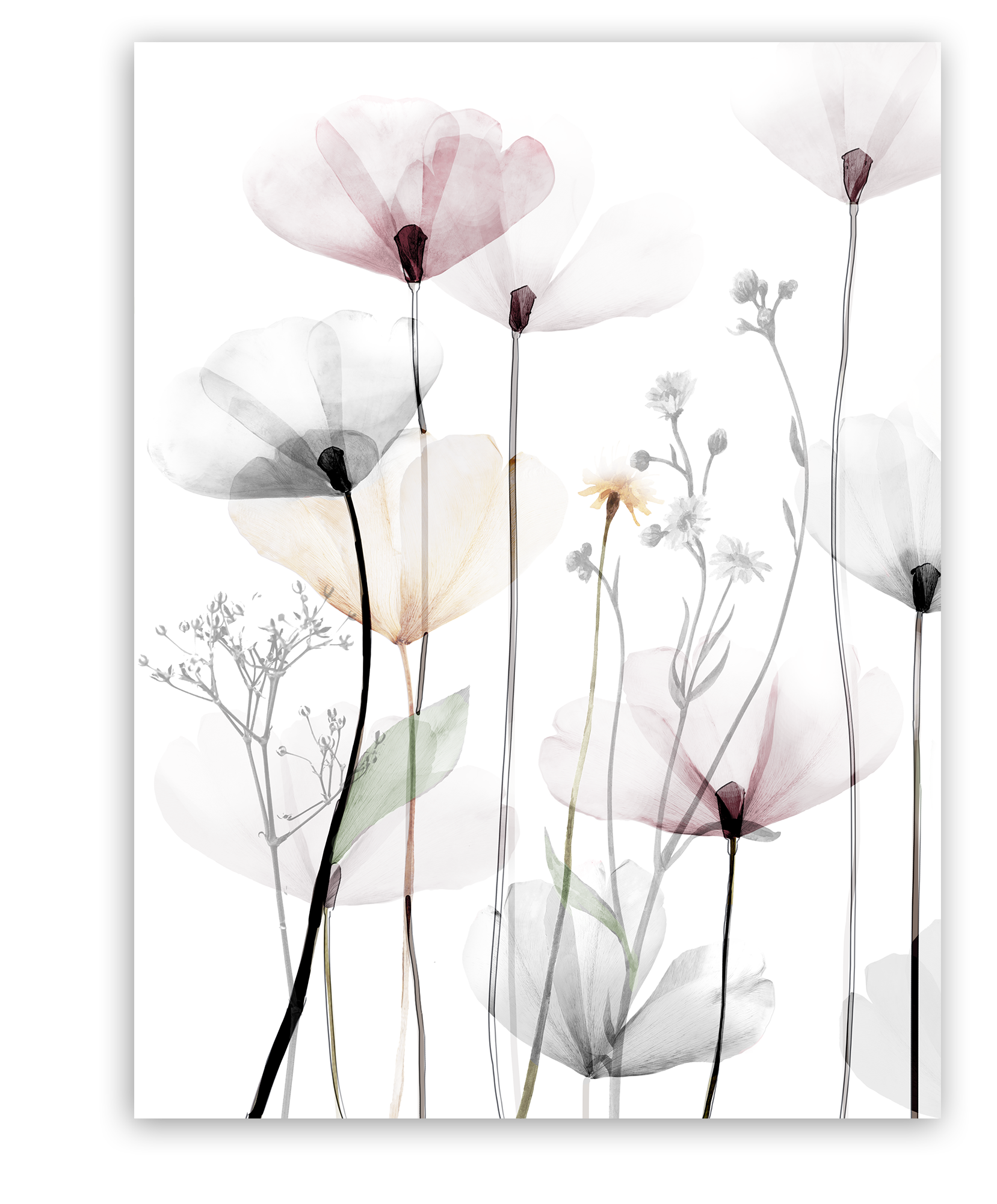 ST0082 (3)