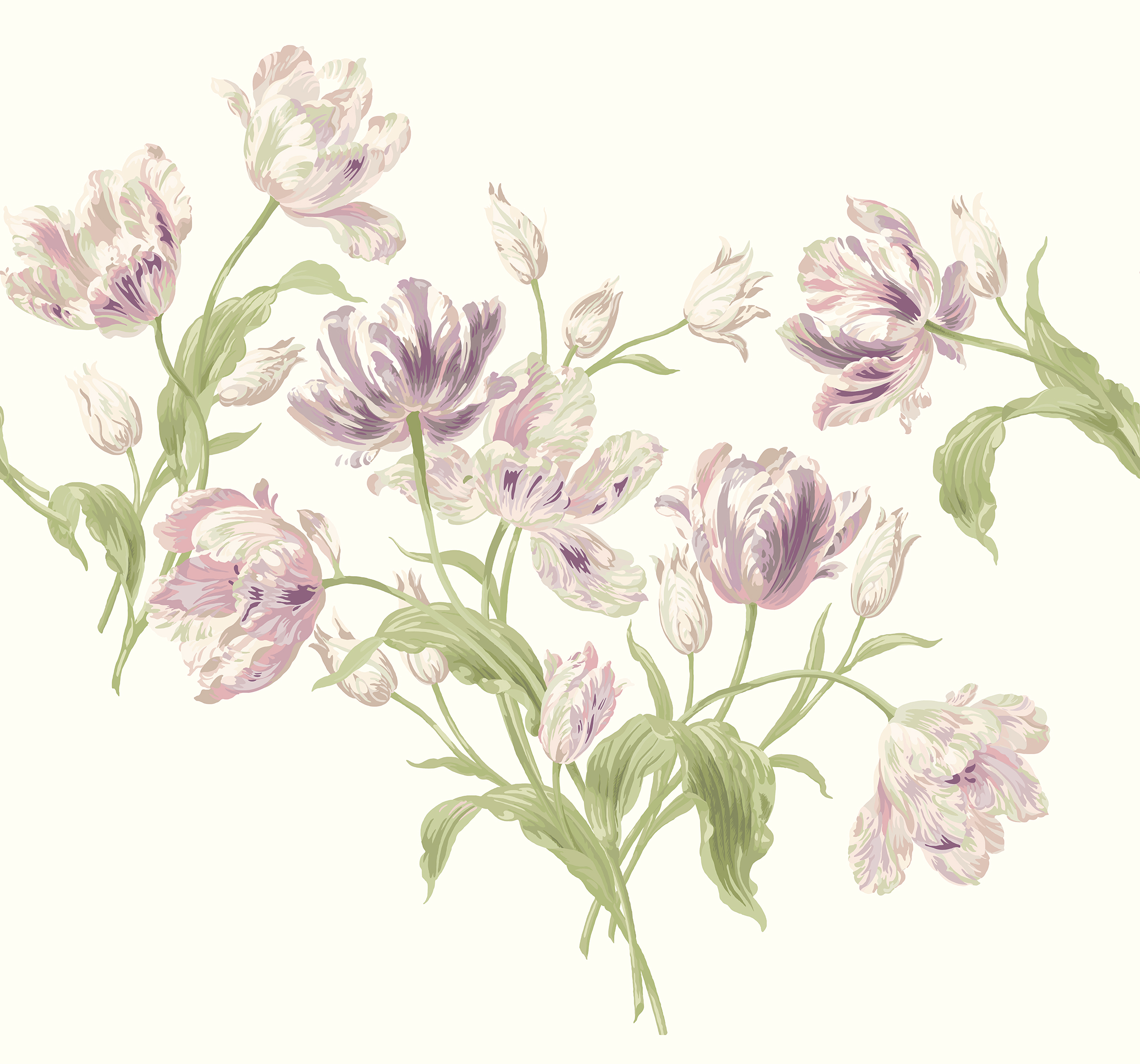 Lila-tulipanos-fototapeta-LA0044-1.jpg