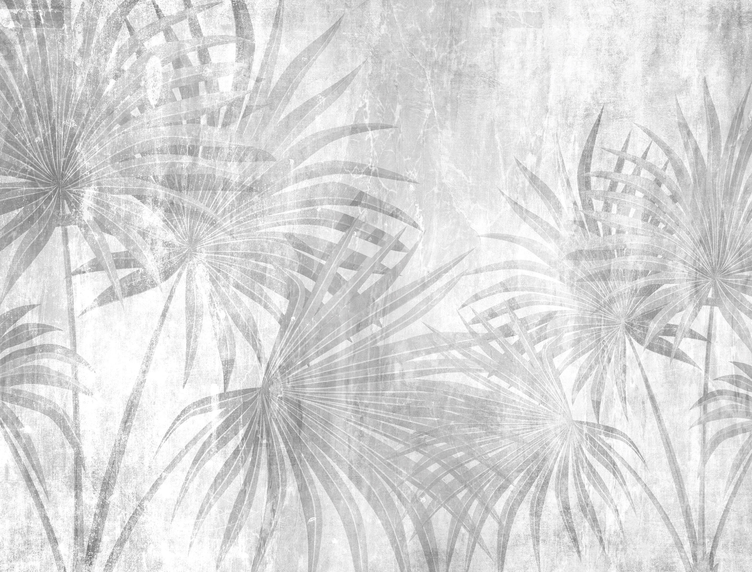 Szurke-palmaleveles-fototapeta-WV0209-2-scaled-1.jpg