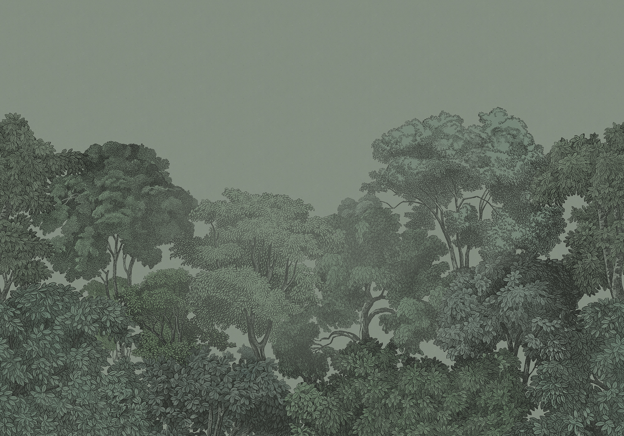 RE0014-2.jpg