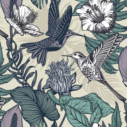 Fotótapéta rajzolt kolibri madarakkal WV0281 (2)